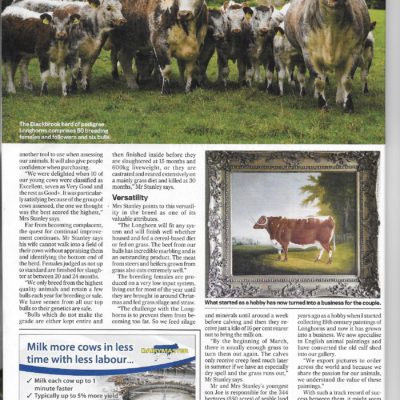 Longhorns Paper Article 3