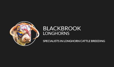 Blackbrook Longhorns