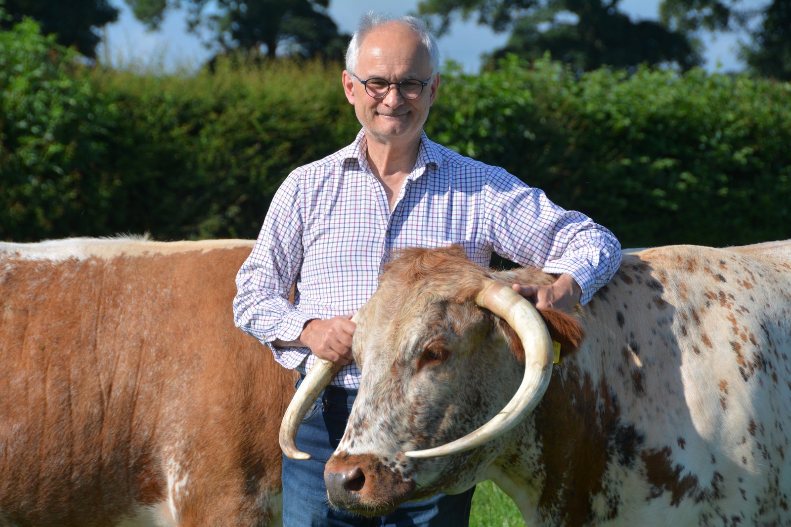 Blackbrook Longhorns 2018 British Farming Awards Finalists