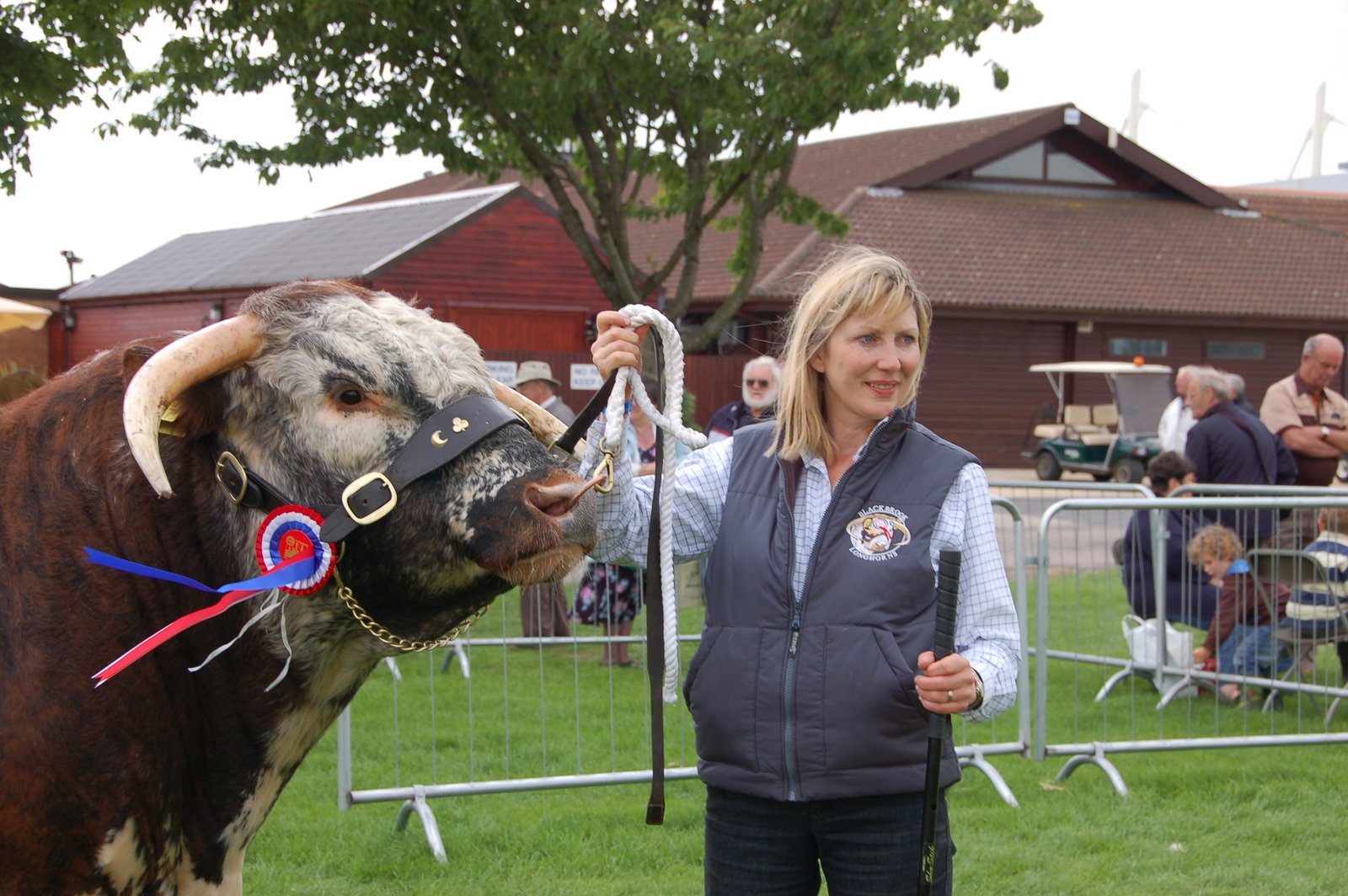 Blackbrook Longhorns British Farming Awards 2018 Finalists