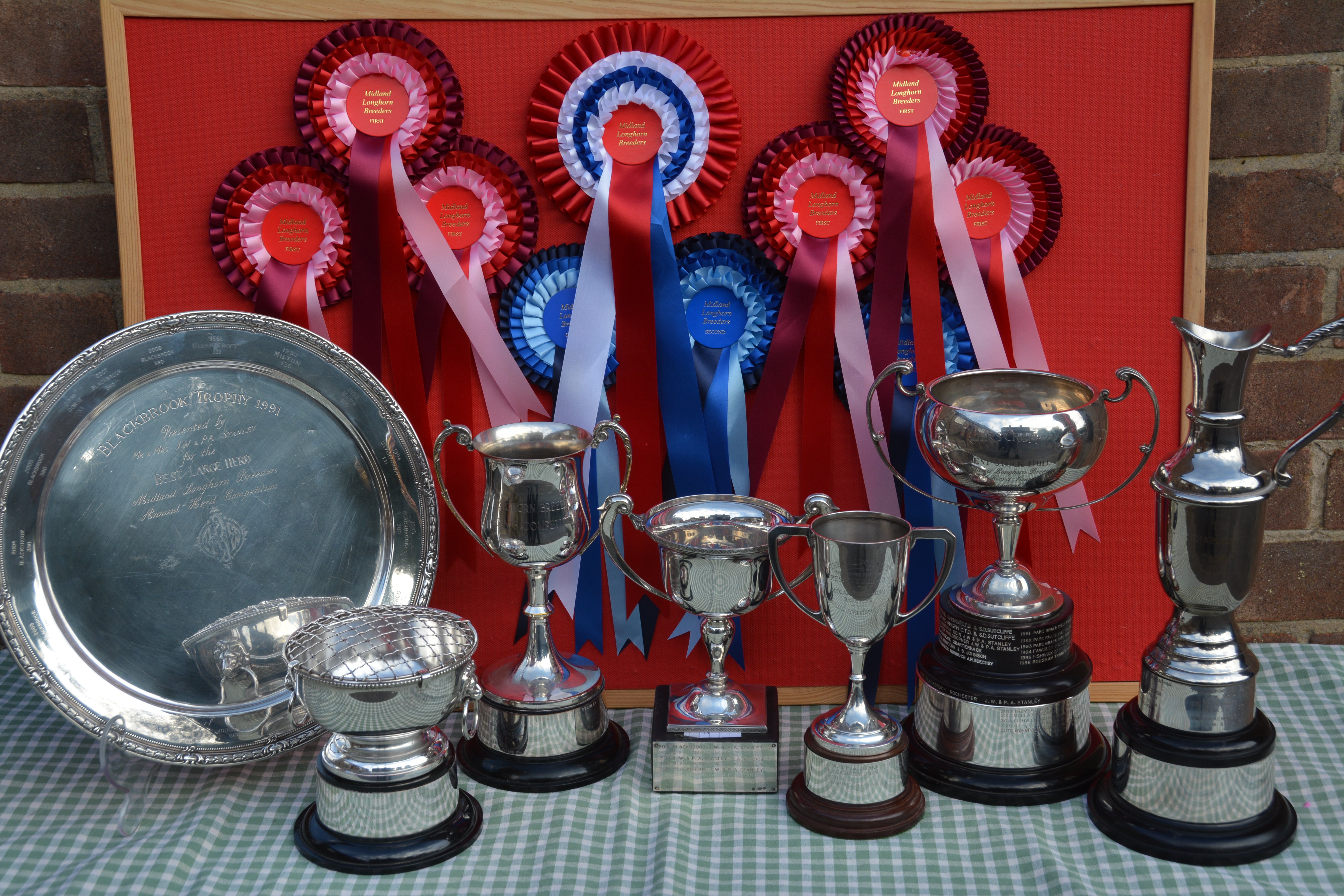 Blackbrook Longhorns Show Results 2018