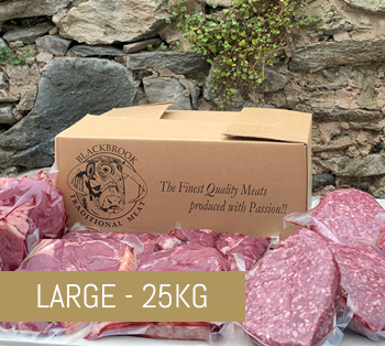 Longhorns Meat Box, Large