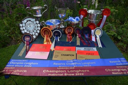 Result from Longhorn National Show Suffolk 2022